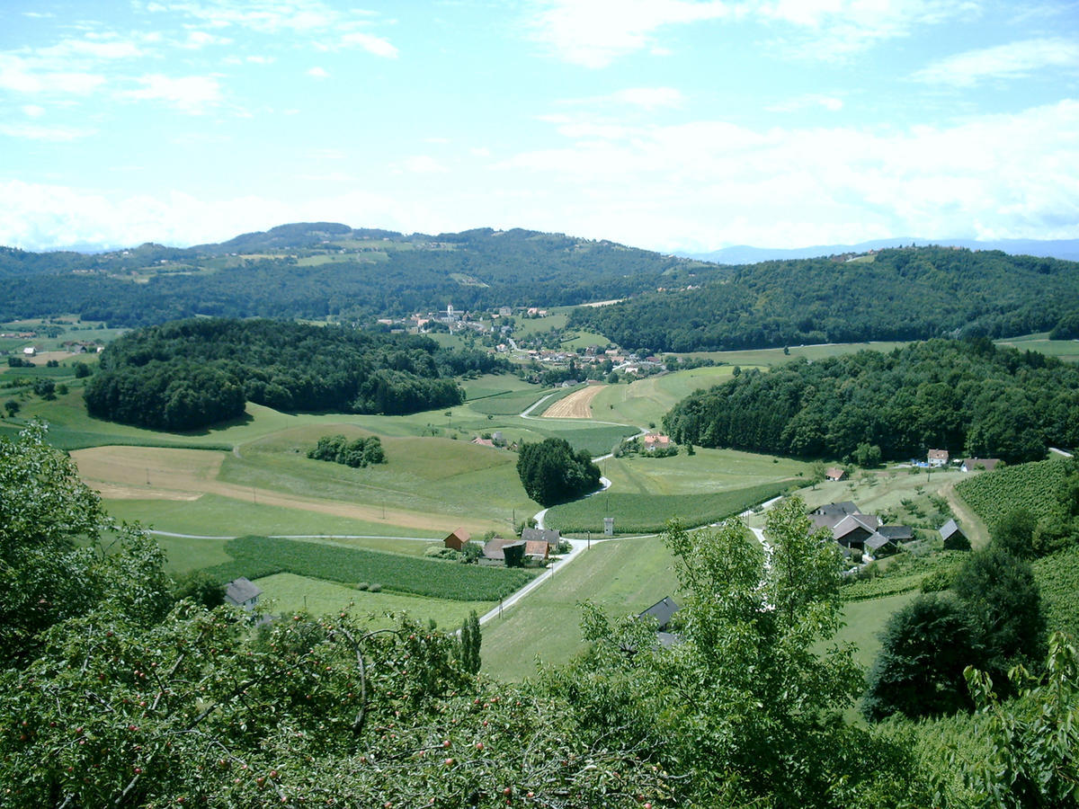 Weingartenhotel Harkamp Südsteiermark Sankt Nikolai im Sausal Zimmer foto