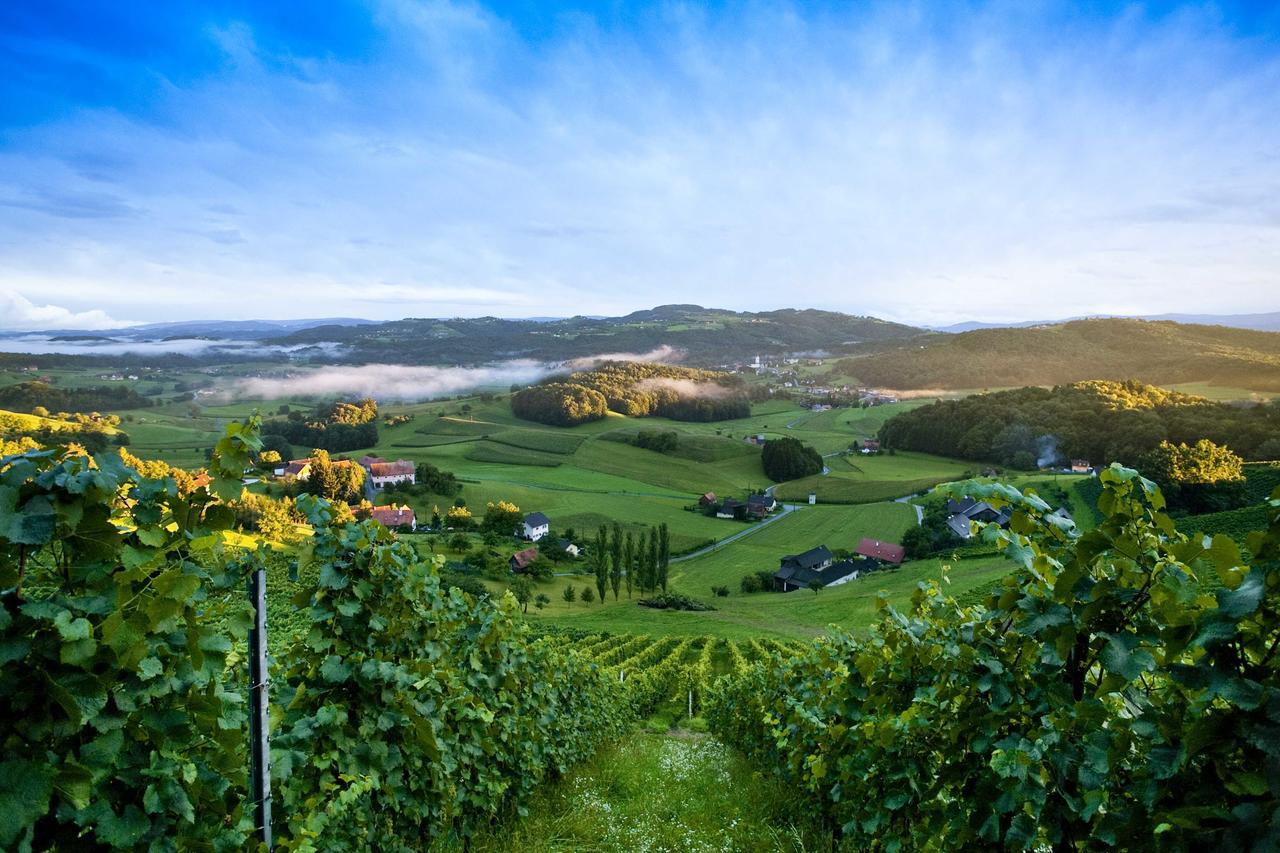 Weingartenhotel Harkamp Südsteiermark Sankt Nikolai im Sausal Zimmer foto