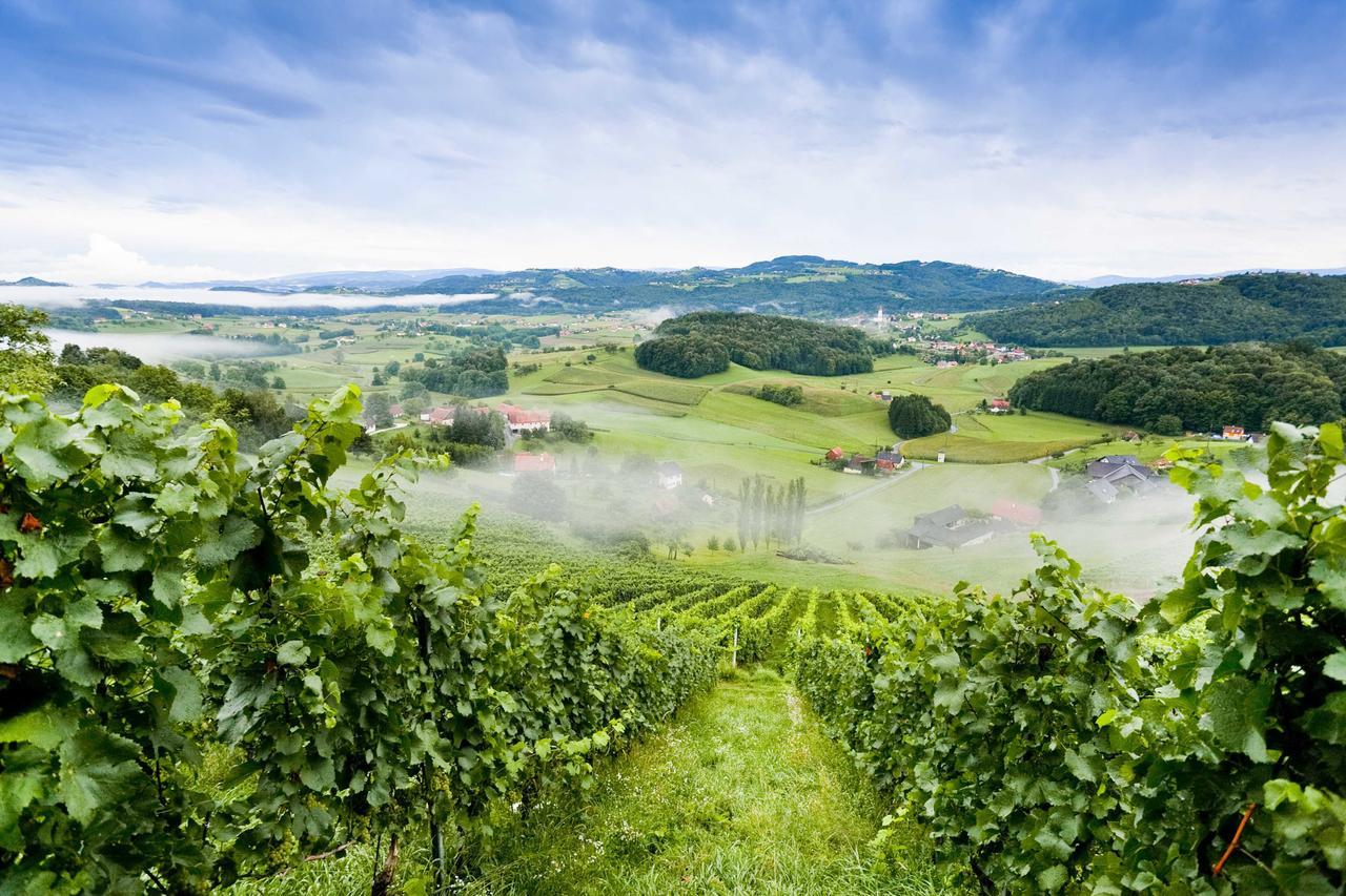 Weingartenhotel Harkamp Südsteiermark Sankt Nikolai im Sausal Zimmer foto